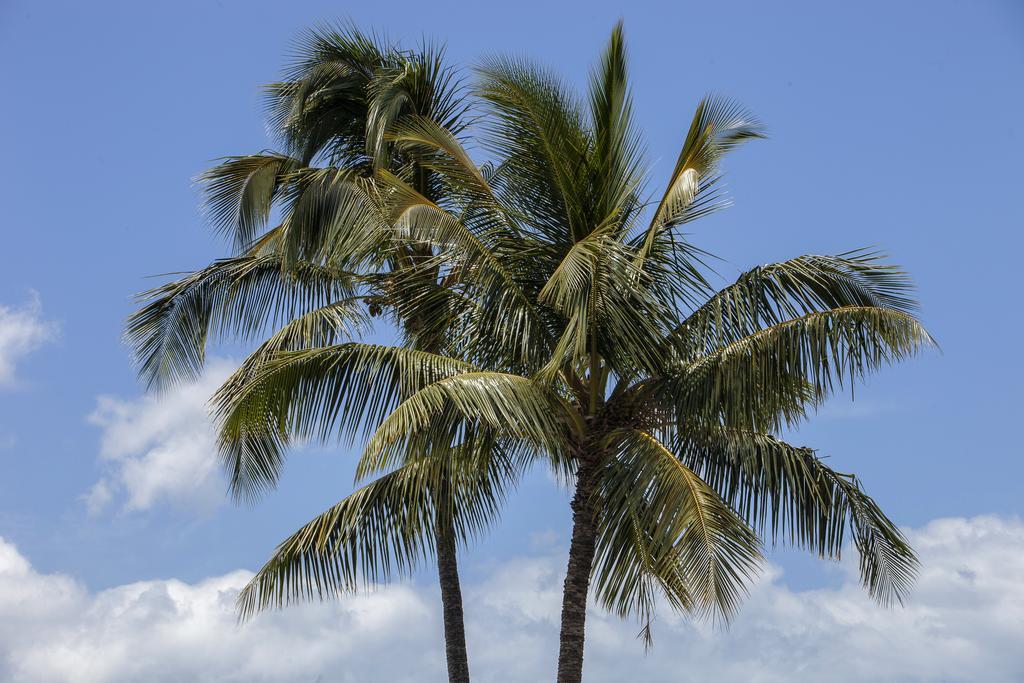 Maui Parkshore By Maui Condo And Home Wailea  Exterior foto